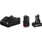 Set 2 batteries bosch professional 12v gba 2, 0ah + 4, 0ah - 1600a01nc9