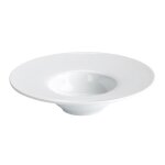 Set de 24 assiettes creuses lisa rondes plat  service  ptes et desserts en porcelaine blanc - diamtre ...