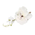 Shi - boutonni�re de mariage boutonni�re de mari� pour hommes 5 pi�ces fleur de mariage �l�gante box ...