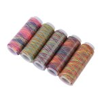 Shi - fil � coudre bobines de fil de broderie d�grad� multicolore 5 pi�ces accessoire de v�tement mercerie ...