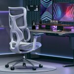 Sihoo doro s100 chaise de bureau ergonomique avec un soutien lombaire dynamique double dossier r�glable ...