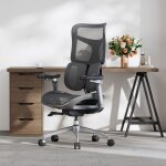Sihoo doro s100 chaise de bureau ergonomique avec un soutien lombaire dynamique double dossier r�glable ...