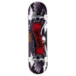 Skateboard sp�cial tony hawk ss180 wingspan