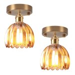 Snogold 2x plafonnier en verre ambre lustre moderne abat - jour forme de fleur lampe de plafond e27 luminaire ...