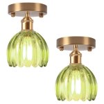 Snogold 2x plafonnier en verre vert lustre moderne abat - jour forme de fleur lampe de plafond e27 luminaire ...