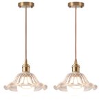 Snogold 2x suspension industrielle moderne en verre lustre e27 luminaire vintage plafonnier rtro clairage ...