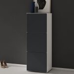 Sogood meuble  chaussures blanc mat et gris noir mat 45x120cm rangement armoire  chaussures 6 compartiments ...