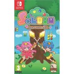 Soldam jeu switch