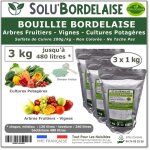 Solubordelaise - 3 kg - bouillie bordelaise non color�e - protection arbres fruitiers cultures potag�res ...