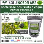 Solubordelaise - 1 kg bouillie bordelaise - bact�riose fruit coque