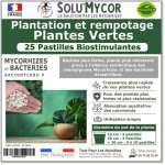 Solumycor 25 pastilles bio - stimulantes engrais pour plantation et rempotage de plantes vertes - d�veloppemen ...