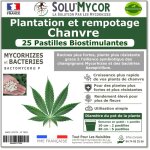 Solumycor ? 25 pastilles biostimulantes chanvre ? semis & plantation ? mycorhizes & bact�ries azospirillum ...