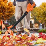 Souffleur de feuilles �lectrique sans fil - 2 batteries et 1 chargeur - 5 modes de vitesse - 21v