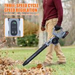 Souffleur de feuilles sans fil - 2 batterie et chargeur - 3 vitesses - 3 buses de soufflage - 21v