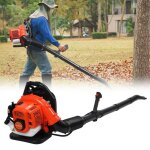 Souffleur thermique port� 2 temps haute performance pour d�gager feuilles et neige rapidement