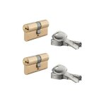 Sp - lot de 2 cylindres de serrure � double entr�e 5g 30x30mm laiton anti - arrachement 5 cl�s - sp