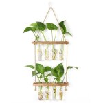 Station de propagation avec support en bois vase mural avec 8 tubes  essai en verre suspendu