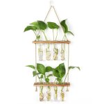 Station de propagation avec support en bois vase muralverre suspendu pour plantes hydroponiques