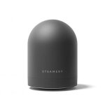 Steamery pilo 2 rasoir pour tissus charbon de bois