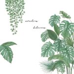 Sticker mural motif plante tropicale 85 x 85 cm diy feuilles de palmier idal pour chambre couloir bureau ...