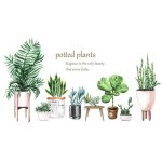 Stickers muraux de plantes tropicales - amovibles stickers muraux de feuilles de palmier pour salon cuisine ...