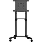 Support tv sur roulettes - startech - mbltvstndec - �crans 37 - 70 - charge max 70kg - inclinable