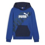 Sweat bleu garon puma 679256