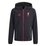 Sweat - shirt adidas sport lfc c vt j y
