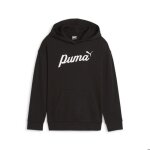 Sweatshirt  capuche fille puma script ess +