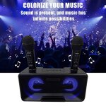 Syst�me de karaok� - sd - 317 - microphones sans fil - 30w - bluetooth 5. 0 - noir