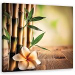 Tableau sur toile bambou fleurs zen impression sur toile - feeby - 30x30 cm