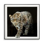 Tableau sur toile jaguar laqu�e avec cadre 82x4x82 cm