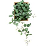 Tableau v�g�tal mural avec feuilles r�elles cadre d�coratif plante artificielle objet de decoration murale ...