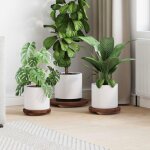 Tabourets � plantes vidaxl 3 pcs bois dacajou huil� marron ? 29 / 21 / 18 cm