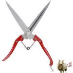 Taille - sabot de ch�vreciseaux de ch�vrecisailles � moutons manuelles de 12 poucesciseaux de coupe de ...