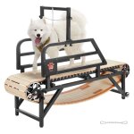 Tapis de marche pour chiens de taille moyenne - vevor - charge 100 kg - tapis de course avec piste large ...
