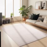 Carpetsale24 tapis salon 120x170 cm beige uni moderne et moelleux � poil court avec sous - couche antid�rapant ...