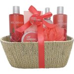 Tendance - pomegranate care set - foaming bath 300ml shower gel body milk mist bath salts - kit coffret ...