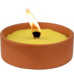 Terra nostra - bougie citronnelle - 161809 - extérieur - 5h - prêt à lemploi - terre cuite 12x4cm Terra nostra - bougie citronnelle - 161809 - extérieur - 5h - prêt à lemploi - terre cuite 12x4cm