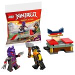 Jeu de construction - lego - 30675 - terrain dentranement - 524 pices - 6 ans et plus
