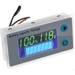 Testeur de capacit� de batterie num�rique 10 - 100v panneau de mesure de temp�rature de tension de voiturette ...
