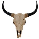 T�te de taureau decoration murale 45cm trophee longhorn en polyresine interieur / exterieur naturel 04 ...