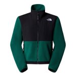 The north face w retro denali jacket
