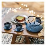 Thires - nature & dcouvertes : service  th akitsu en fonte