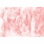 Toile de fond studio photo - sean grant - 22 x 15 m - vinyle - texture plumes - non rflchissante