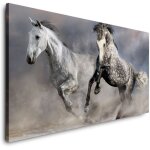 Toile tableau - 120x80 cm - cheval - (pp4327) - canvas - lin - photo - art beaux - animaux �talon pony ...