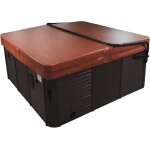 Top mount cover lifter leve - couverture pour hot tub