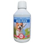 Traitement rhumatisme chien - solution anti - inflammatoire naturelle red animals