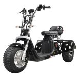 Tricycle �lectrique ehoodax - moteur 2000w batterie 60v 20ah - autonomie 45km - eclairage led - vitesse ...