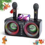 Ttlife systme de karaok portable 2 microphones karaok sans fil et fente pour microphone rechargeable ...